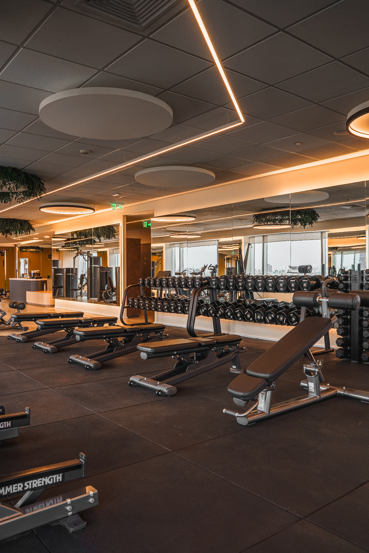 Sala de musculação premium